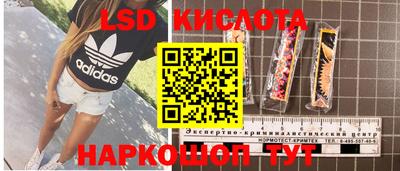 прущие грибы Конаково