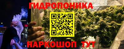 прущие грибы Конаково