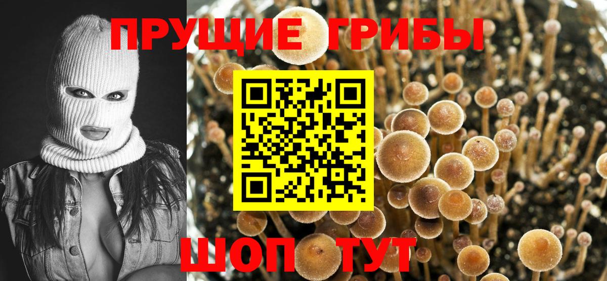Галлюциногенные грибы Magic Shrooms Кингисепп