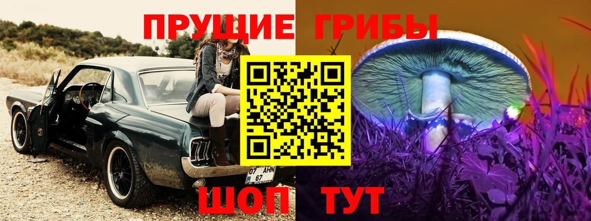 Кингисепп  Псилоцибиновые грибы мицелий  Вход с VPN 